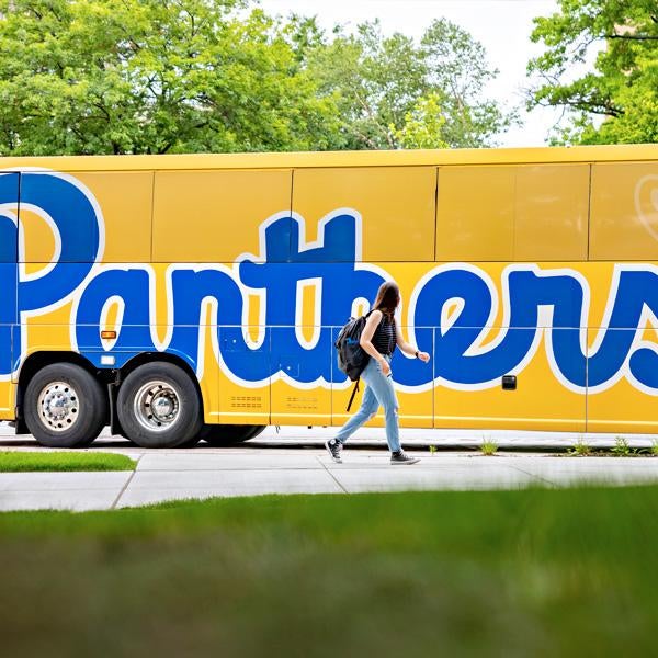 Panthers bus